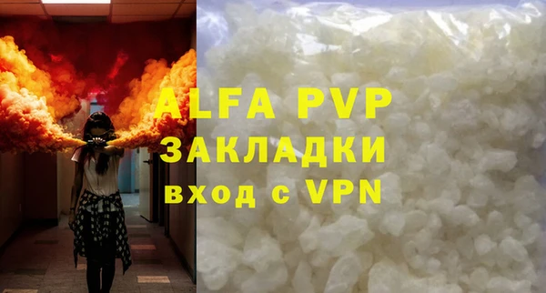 индика Арсеньев