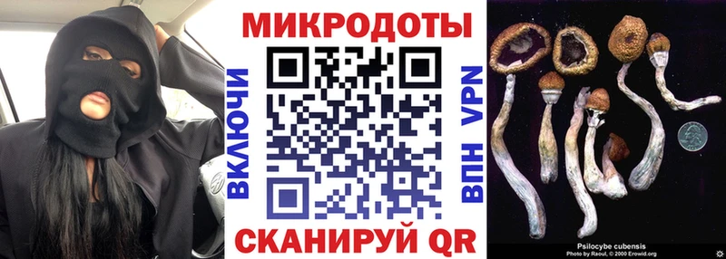 даркнет сайт  МЕГА как войти  Галлюциногенные грибы Cubensis  Буй 